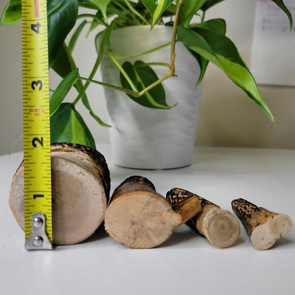 Set of 4 Morel Mushroom Wood Carved Merchroom Forage Mantle Outdoors Fungi Art - Picture 6 of 11